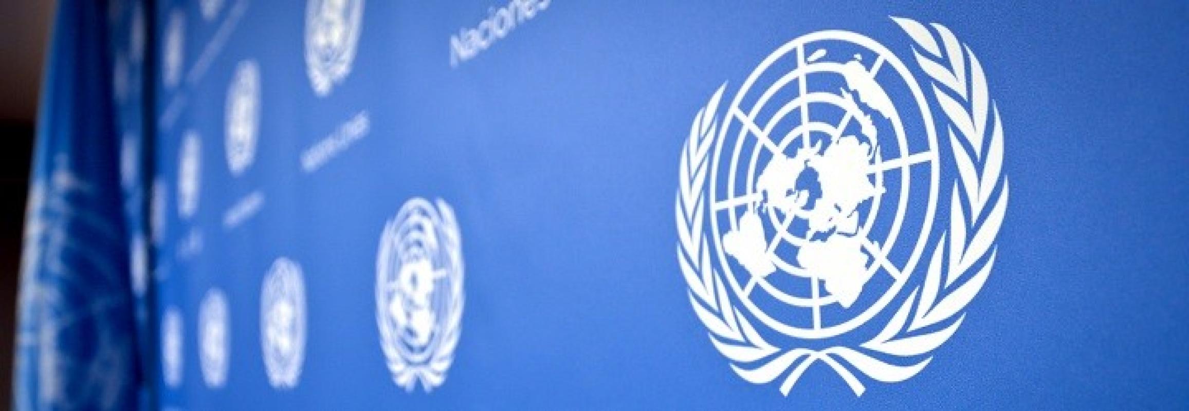Naująja JT žmogaus teisių komisare paskirta radikalių kairiųjų pažiūrų kandidatė