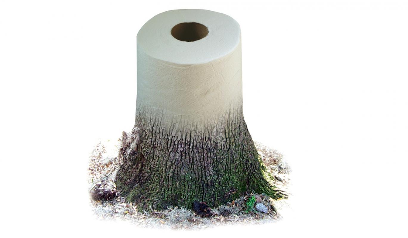 Jūs šluostotės užpakalį tualetiniu popieriumi? – Jūs taip pat esate miško naikintojas!