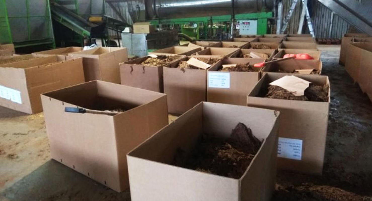 Lietuvoje kuriasi žaliavos šešėliniams tabako fabrikams tiekėjai