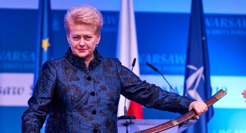 Dalia karo lauke: atakuojami sveikatos apsaugos ministras ir Lietuvos prezidentas