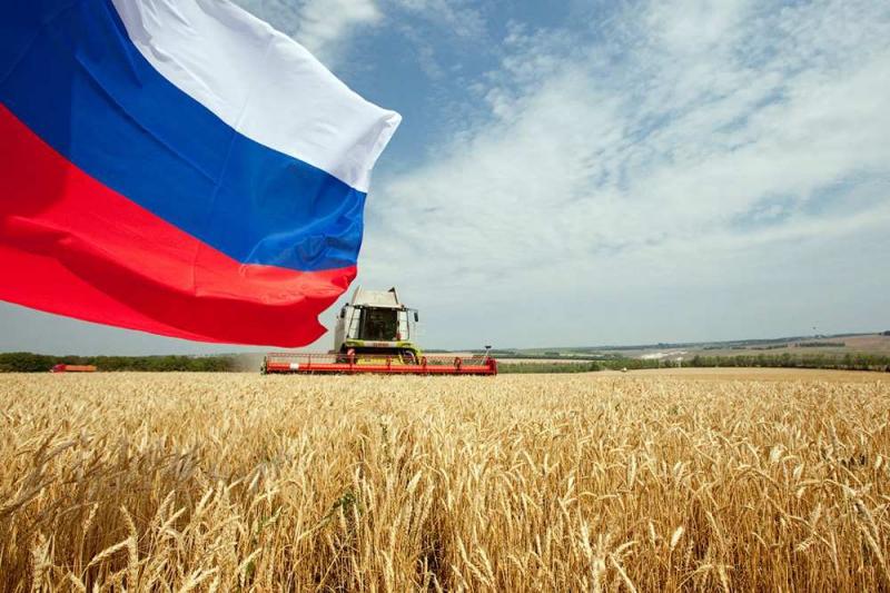 Dar vienas vis labiau agresyvėjančios Rusijos akibrokštas: ketina atkirsti pasaulį nuo rusiškų kviečių