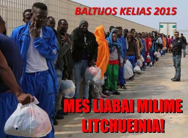 Jei lietuvių tauta nenori afromigrantų, ji – bailė?