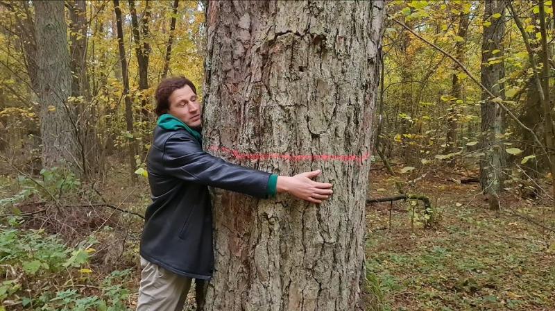 Valdžia nusprendė palikti Lietuvą be miškų?