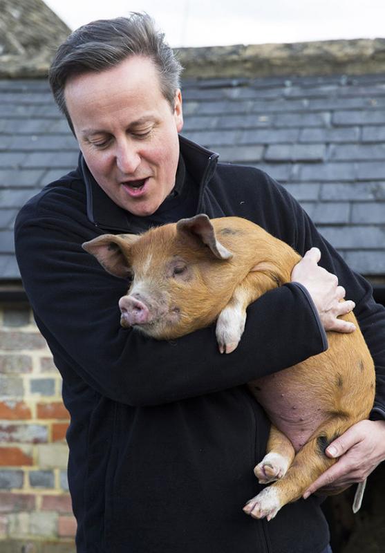 Britų premjeras Deividas Kameronas įšventinimo į masonų ložę metu lytiškai santykiavo su mirusia kiaule