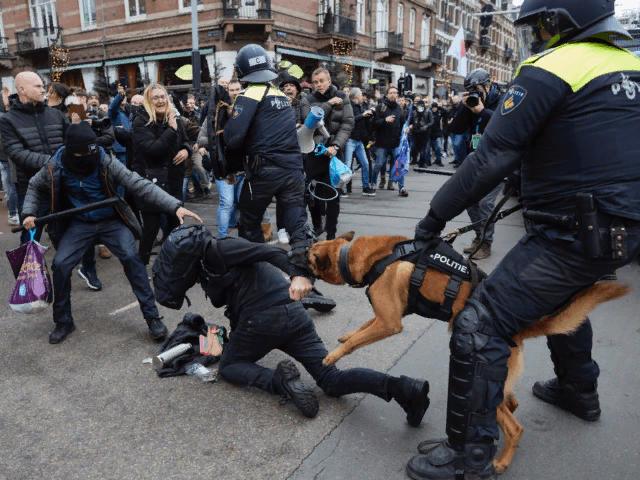 Šunys draskė demonstrantus Amsterdame