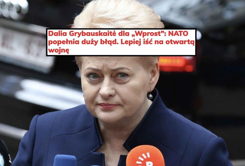 Prezidentė Grybauskaitė ragina NATO nedelsti: argi mes neturime savo branduolinių ginklų?