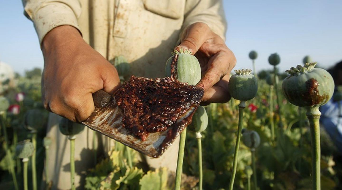 Turkijos laboratorijose Afganistano opiumas perdirbamas į heroiną, kuris siunčiamas į Europą
