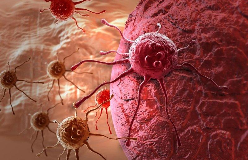 Vėžys nėra liga – tai išgyvenimo mechanizmas