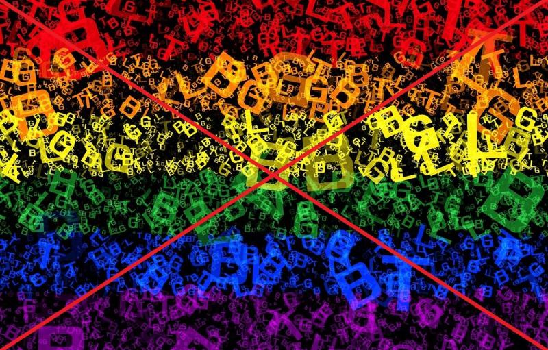 Savivaldybės tarybos deklaracija Dėl genderizmo propagandos ir LGBT ideologijos sustabdymo savivaldybėje