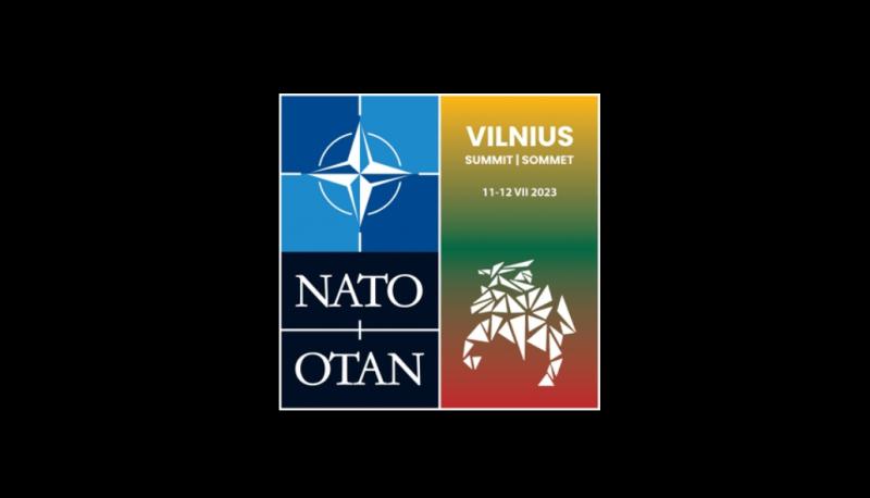 Ar liepos 11-12 dienomis Lietuva bus įtraukta į tiesioginį karą Ukrainoje?