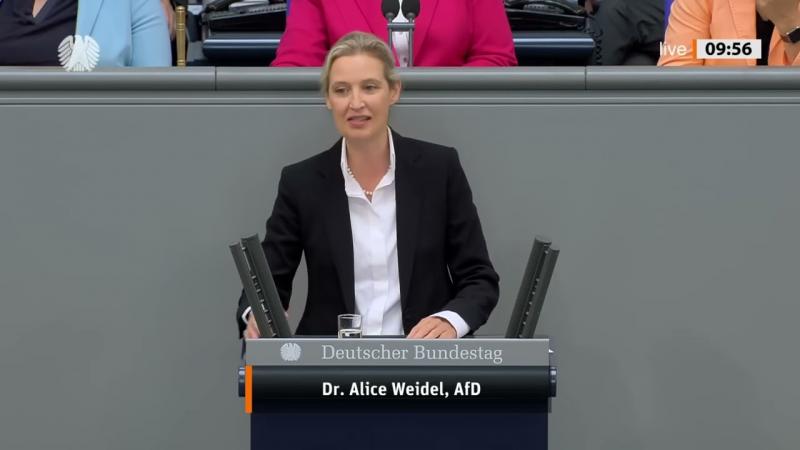 Alice Weidel kalba Bundestage: Jūs naikinate Vokietiją