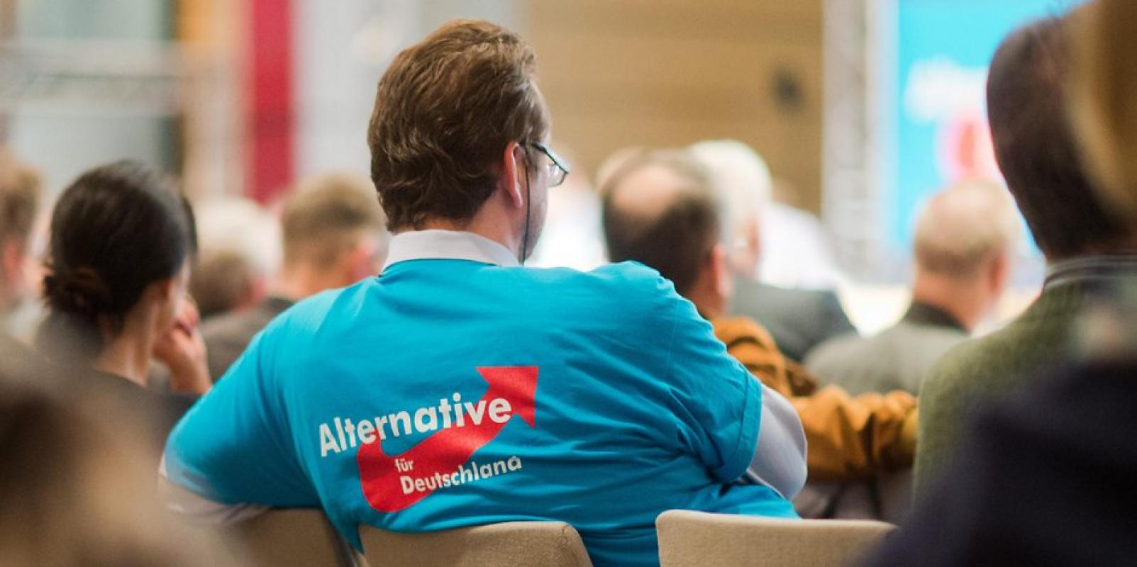 Vokietijos partija „Alternative fur Deutschland“: Nei minaretų, nei euro