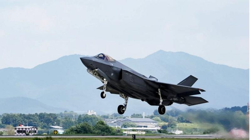 Pietų Korėjoje paukštis nukalė 5 kartos pindosinį naikintuvą F-35A