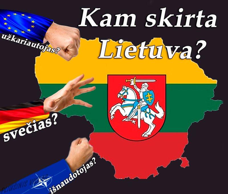 Lietuva yra už nepriklausomybę ir prieš karą! Tarkime „ne“ užsienio kariams mūsų šalyje!