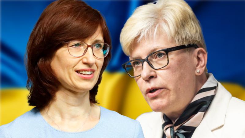 Neliečiamosios VRK ir Ingrida Šimonytė