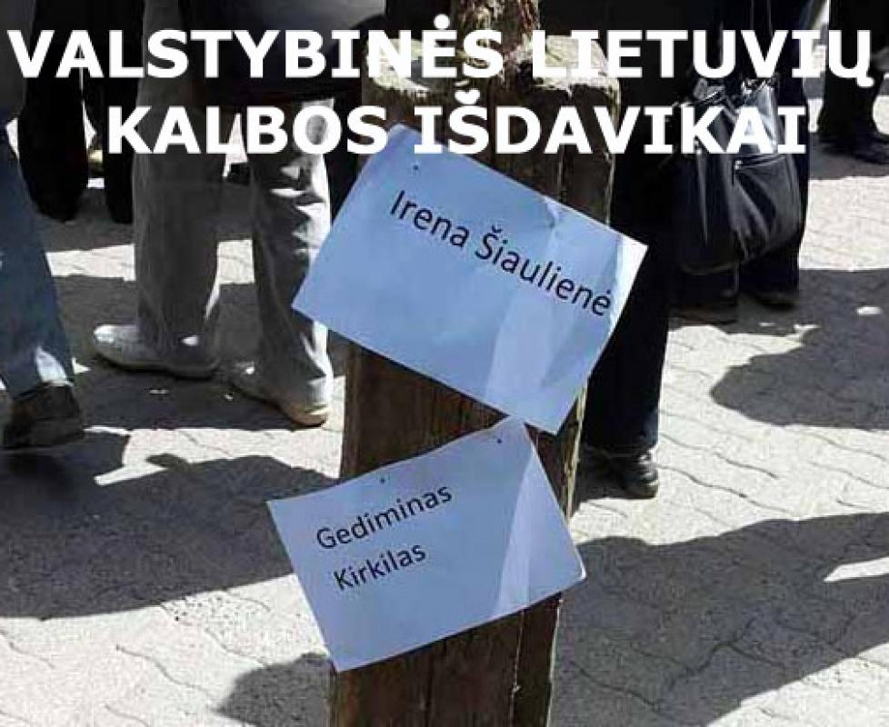 Kam tarnauja Valstybinė lietuvių kalbos komisija?