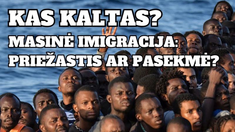 Kas kaltas? Masinė imigracija: priežastis ar pasekmė?