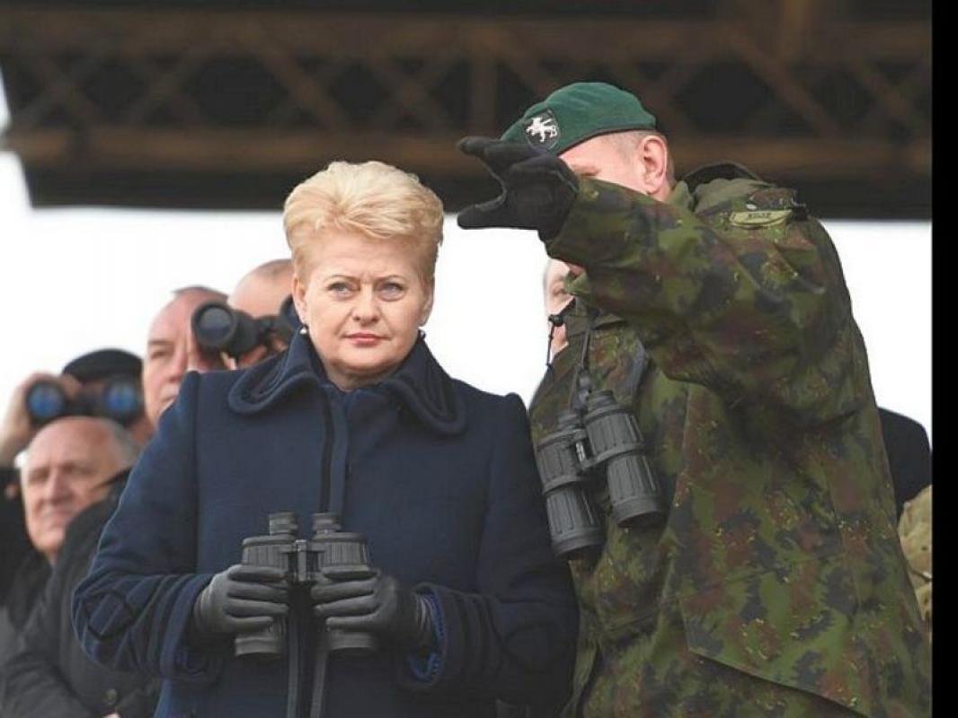 Dalia Grybauskaitė priėjo ribą