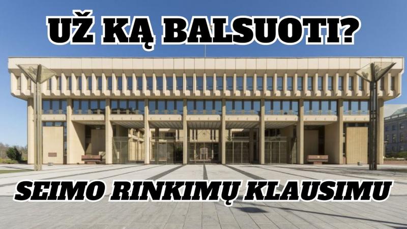 Už ką balsuoti? Seimo rinkimų klausimu