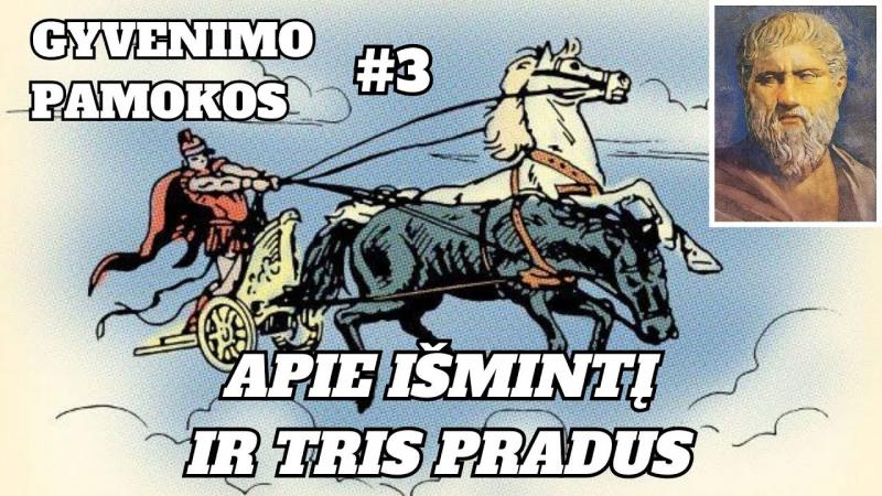 Gyvenimo pamokos (3) Apie išmintį ir tris pradus