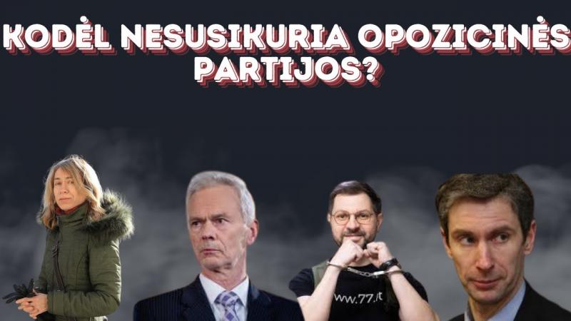 Kodėl nesusikuria opozicinės partijos?