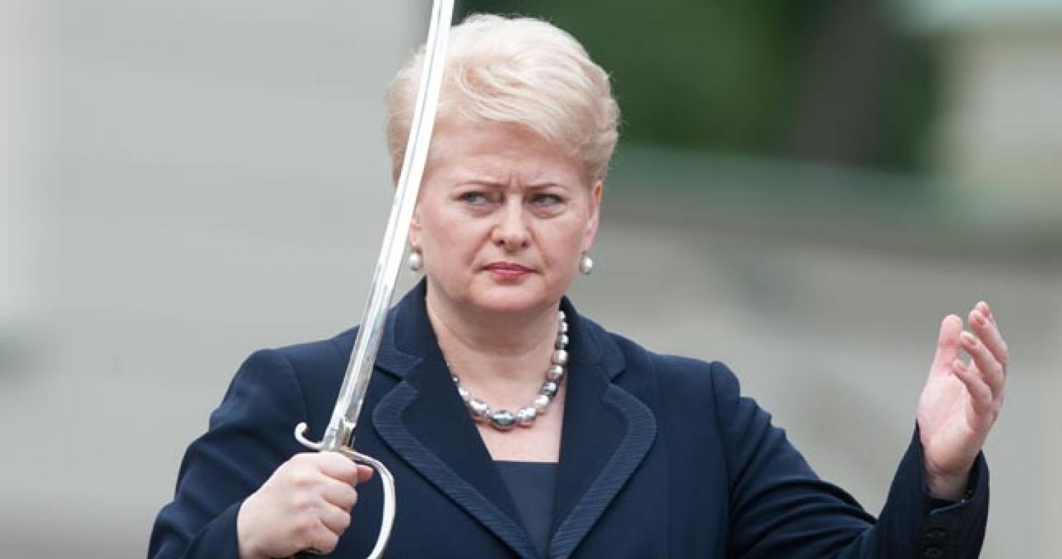 Valstiečių, konservatnikų ir masiulininkų koalicija: D.Grybauskaitės rožinis sapnas, kuris gali išsipildyti
