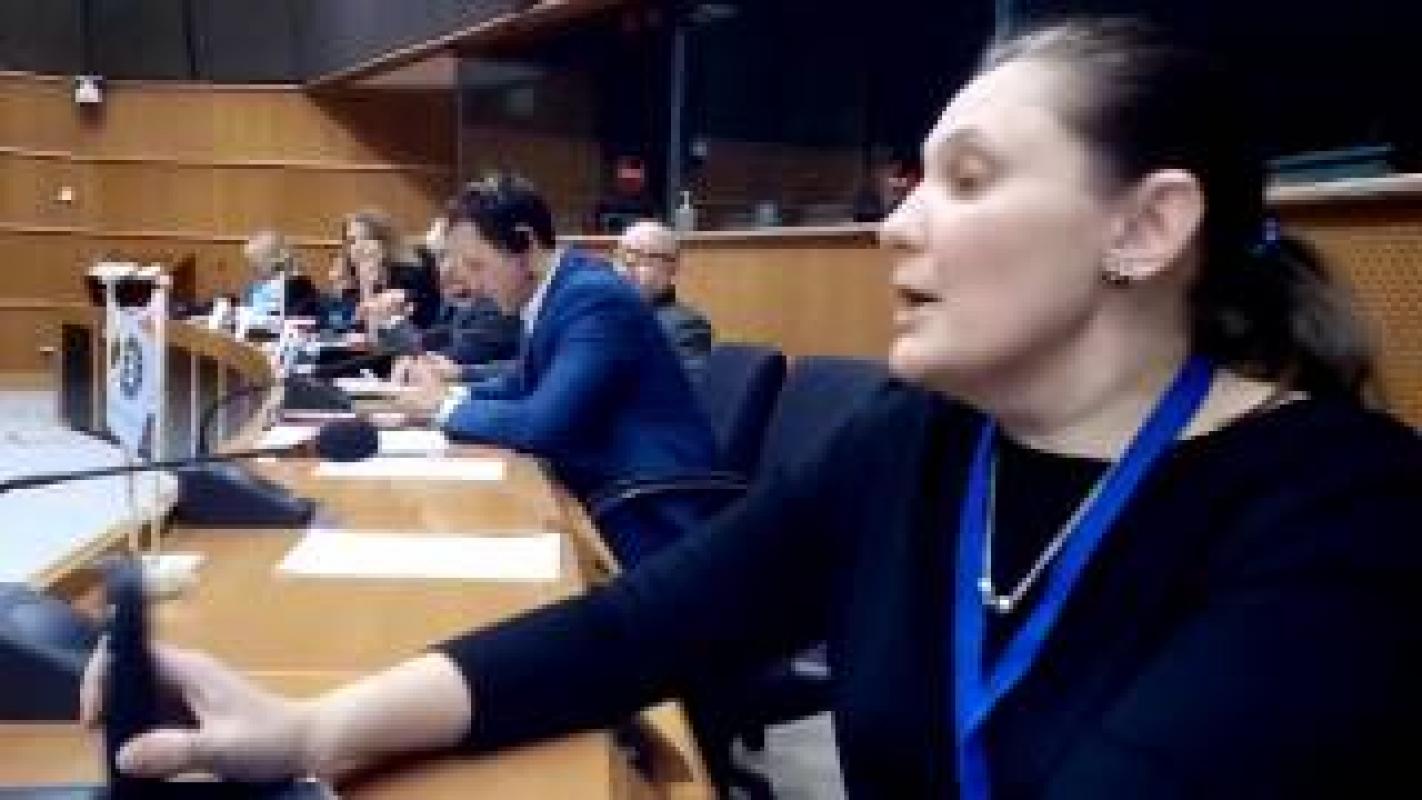 Tatjana Montian Europos parlamente (2016.12.05) pasakoja apie padėtį Ukrainoje
