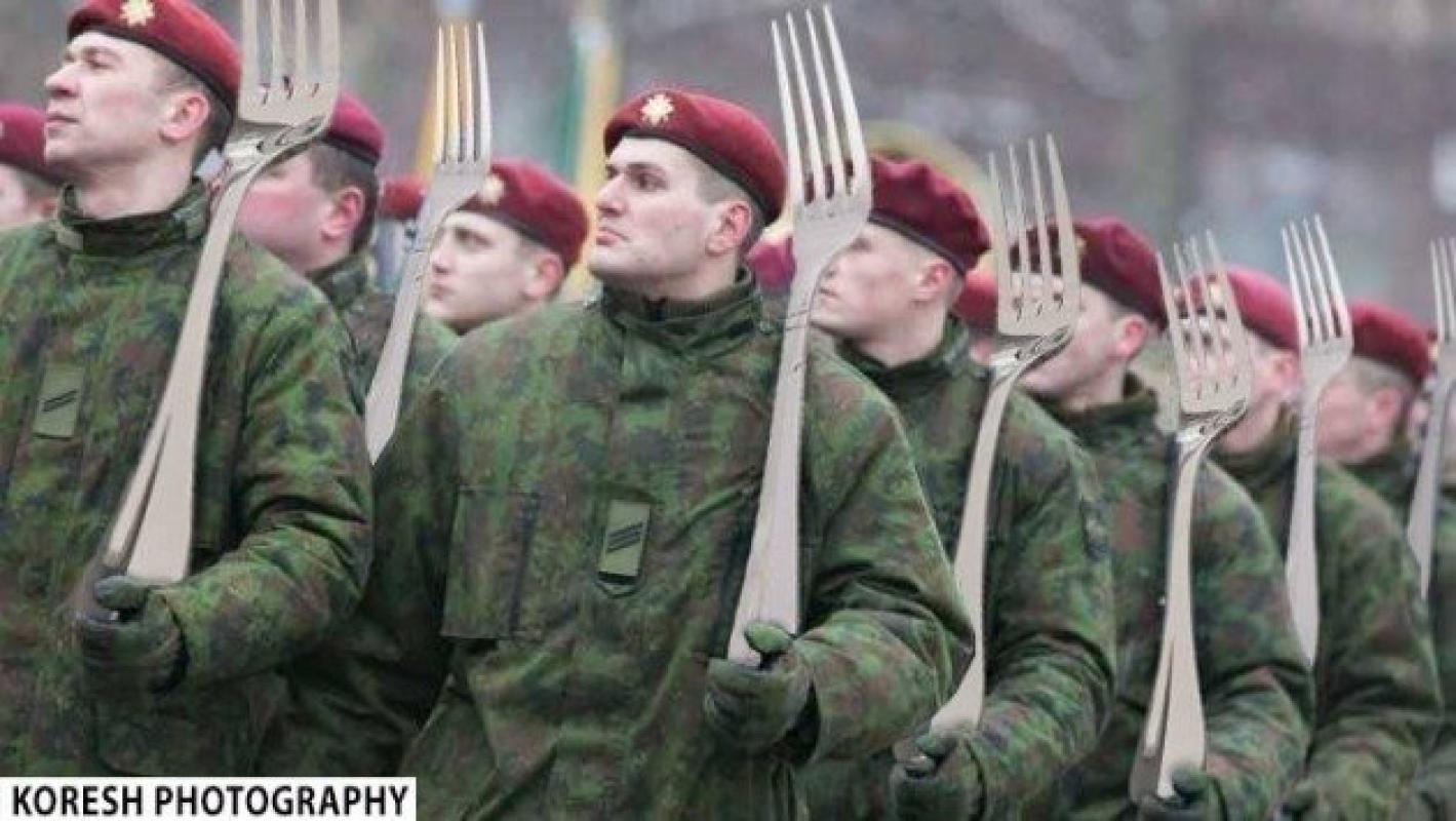 Lietuvos kariuomenės išniekinimas: marš marš tra ta ta... į konteinerį miegoti su auksiniais šaukštais ant peties
