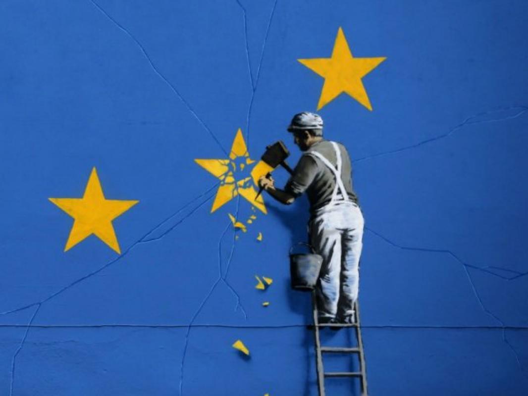 Kam meluoti apie ES vėliavos simbolikos reikšmę? Mes gi ne idiotai
