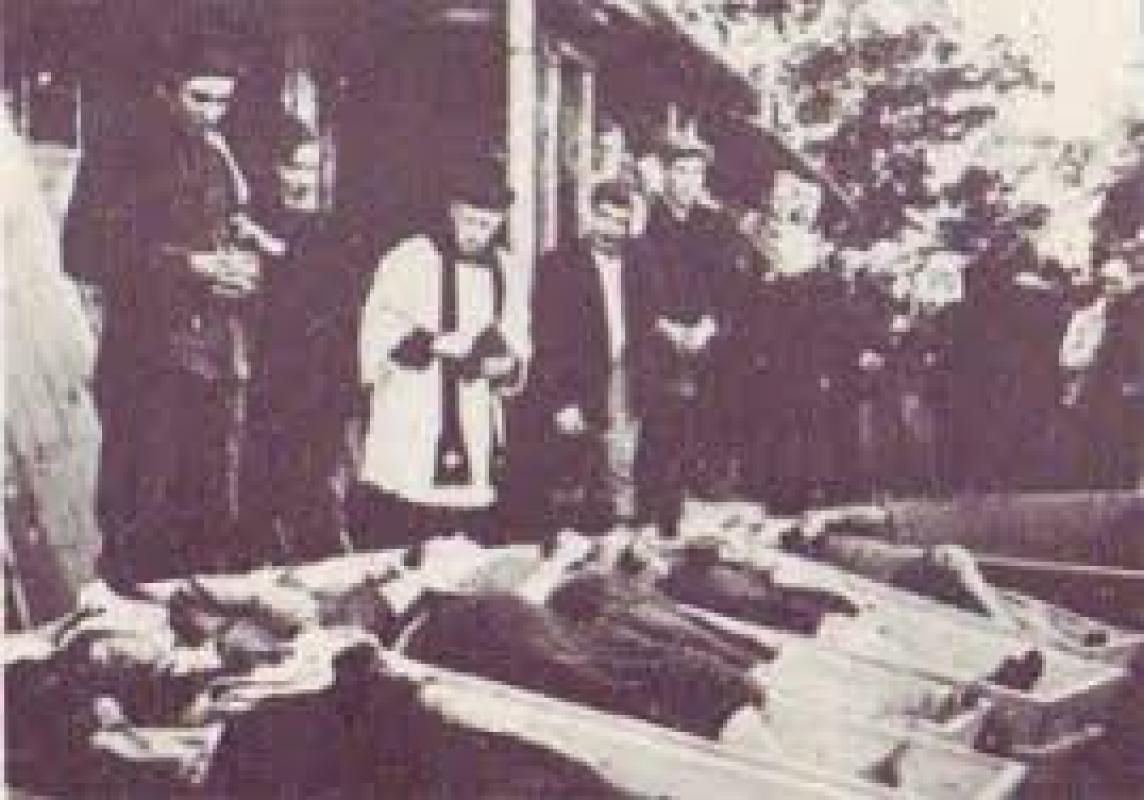 Lenkija – dvigubų istorijos standartų valstybė: Armija krajova, kuri vykdė lietuvių genocidą, jiems – didvyriai