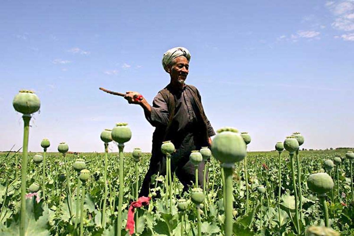 Afganistanas  – narkotikų kraštas