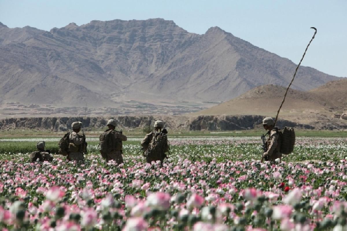 Opijaus paklausa pasaulyje auga: į Afganistaną atvyko dar 3500 karių