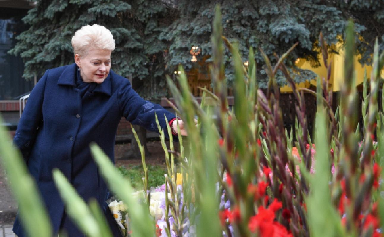Prezidentė D. Grybauskaitė nepriekaištingai atlieka savo misiją