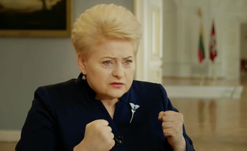 Zigmo abejonės: Kokios spalvos diržas prilaiko smukstančias Grybauskaitės kelnes?