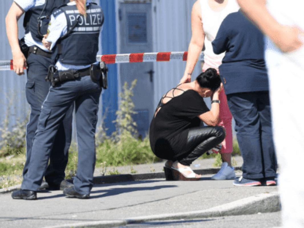 Pabėgėliai nekliudomai prievartauja austres. 2016 metais jie įvykdė 2323 lytinius nusikaltimus