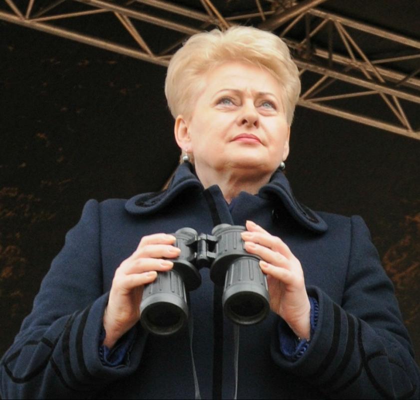 D. Grybauskaitė: ilga klasių kova buvo kurstoma, remiantis radiopropaganda, tiekiant maistą ir ginklus iš užsienio