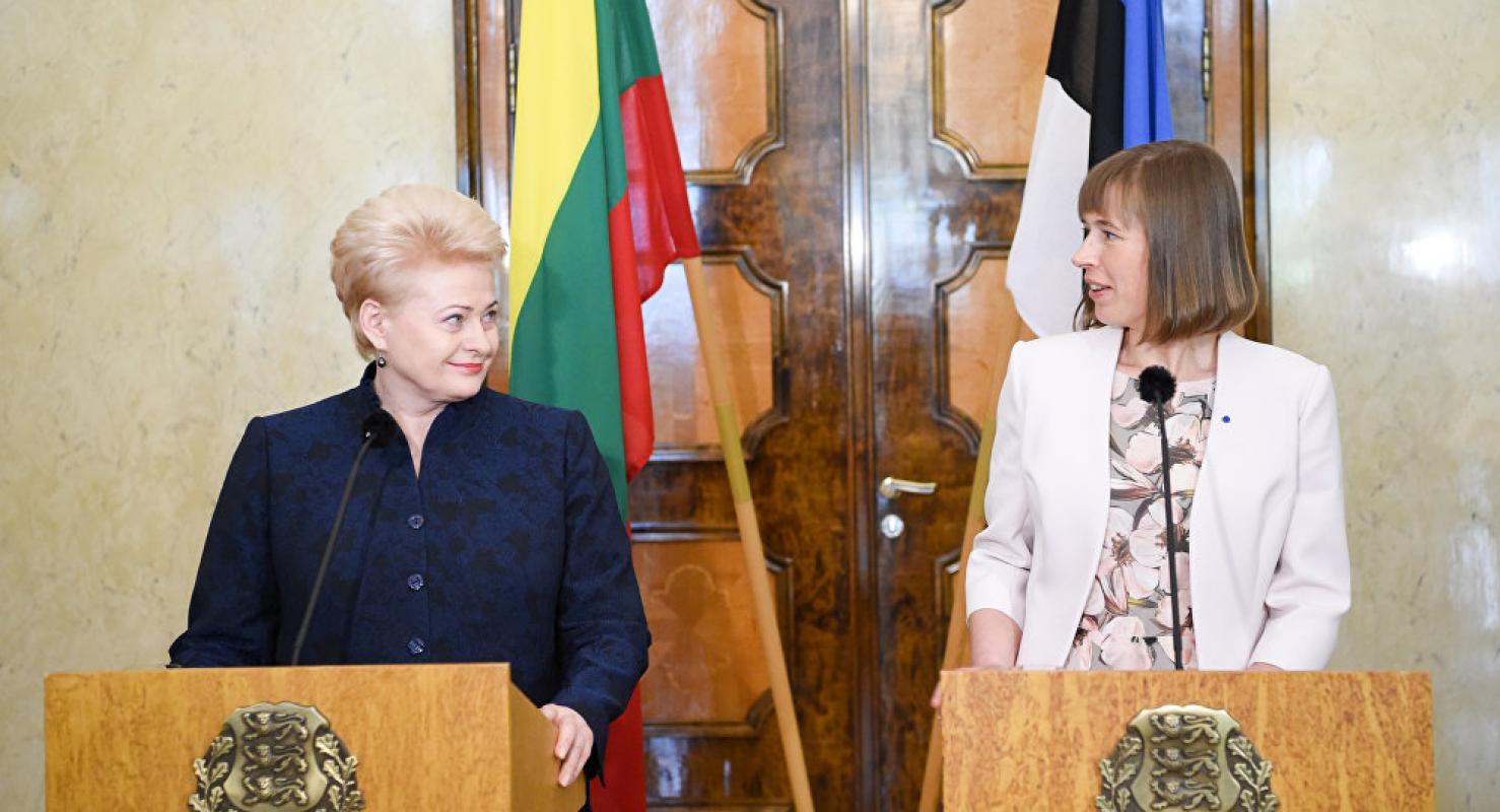 Grybauskaitės, kaip Lietuvos, įvaizdis: bloga savireklama taip pat — reklama