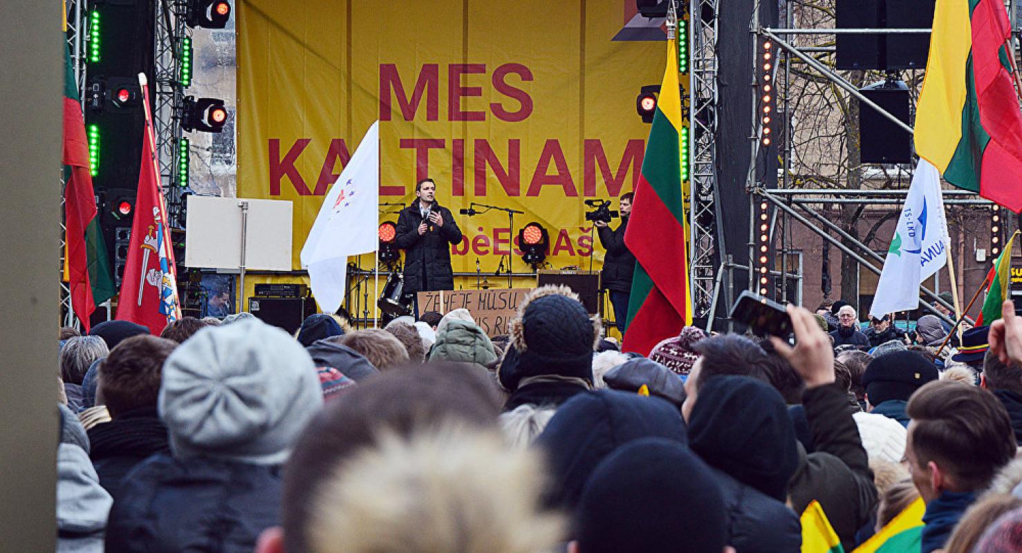 Mitingas šalia Lietuvos Seimo: revoliucija ar demokratija