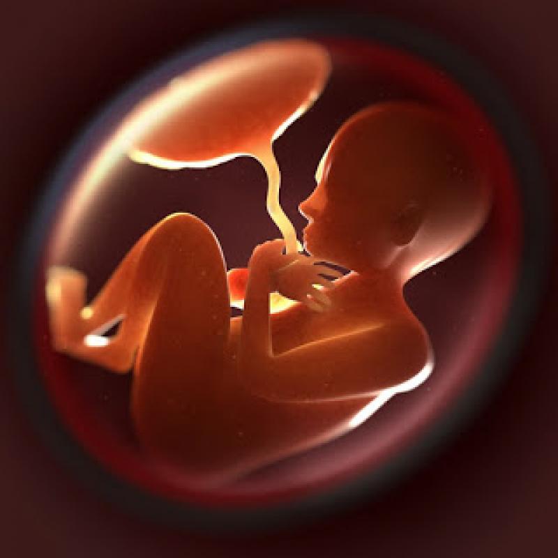 JAV Aukščiausias Teismas: abortuotų kūdikių dalių prekyba – konfidencialus reikalas