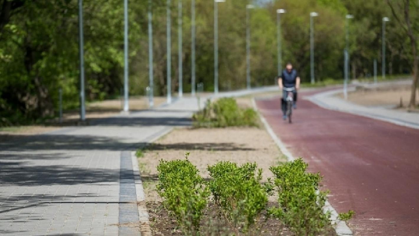 Žaliausiu Europos miestu tituluojamas Vilnius sodina per 5 tūkst. naujų medžių