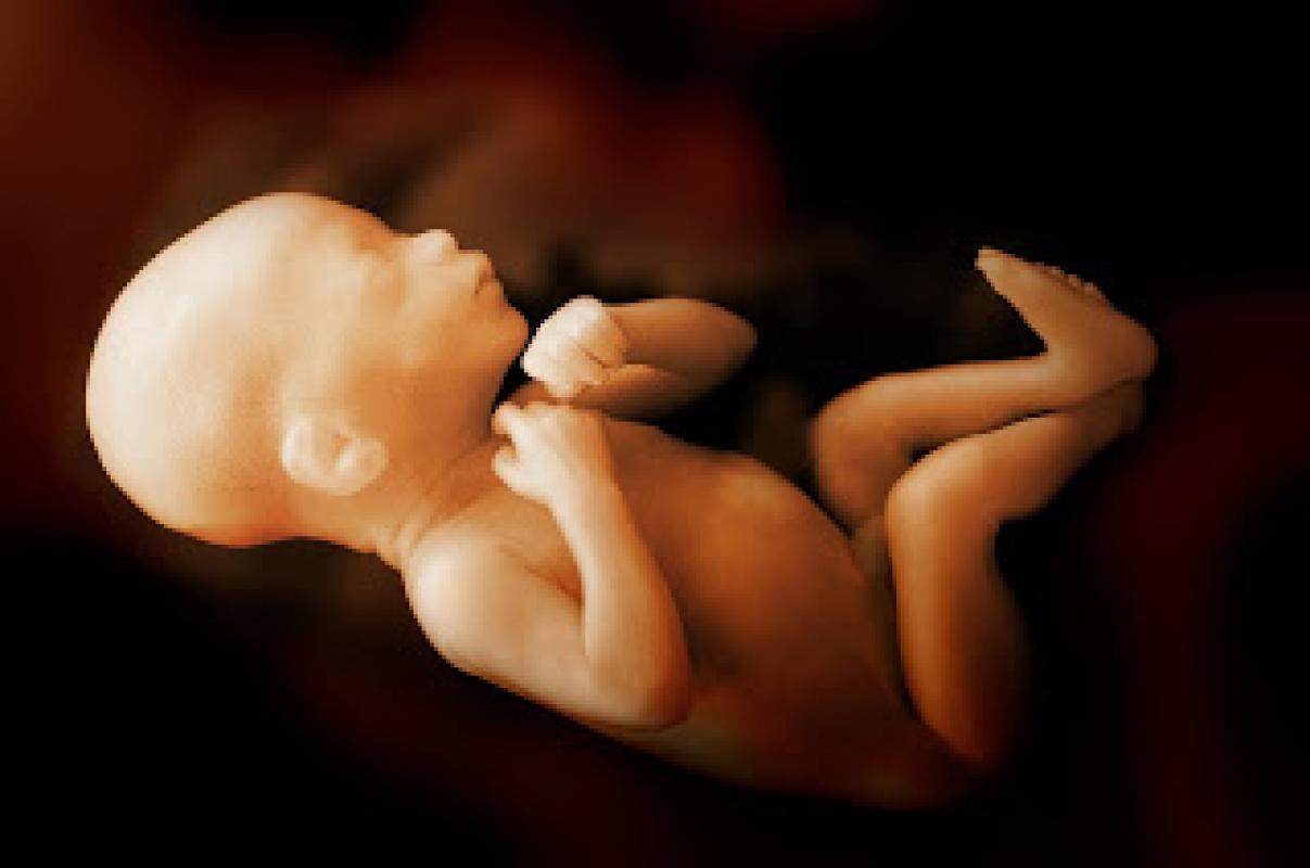 JAV Valstybės departamentas: „reprodukcinės teisės“ nėra žmogaus teisės