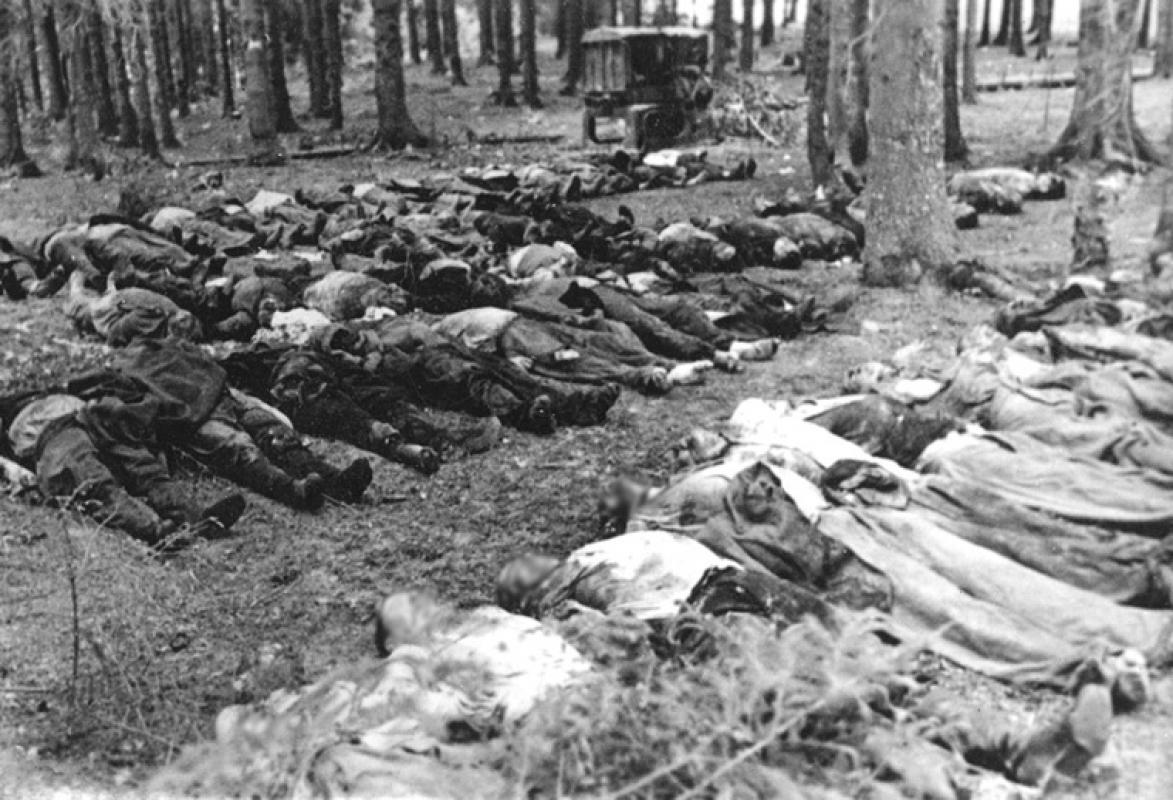 Valdžia vykdo lietuvių tautos genocidą. Esame labiausiai nugirdyta tauta pasaulyje ir anksčiausiai mirštame