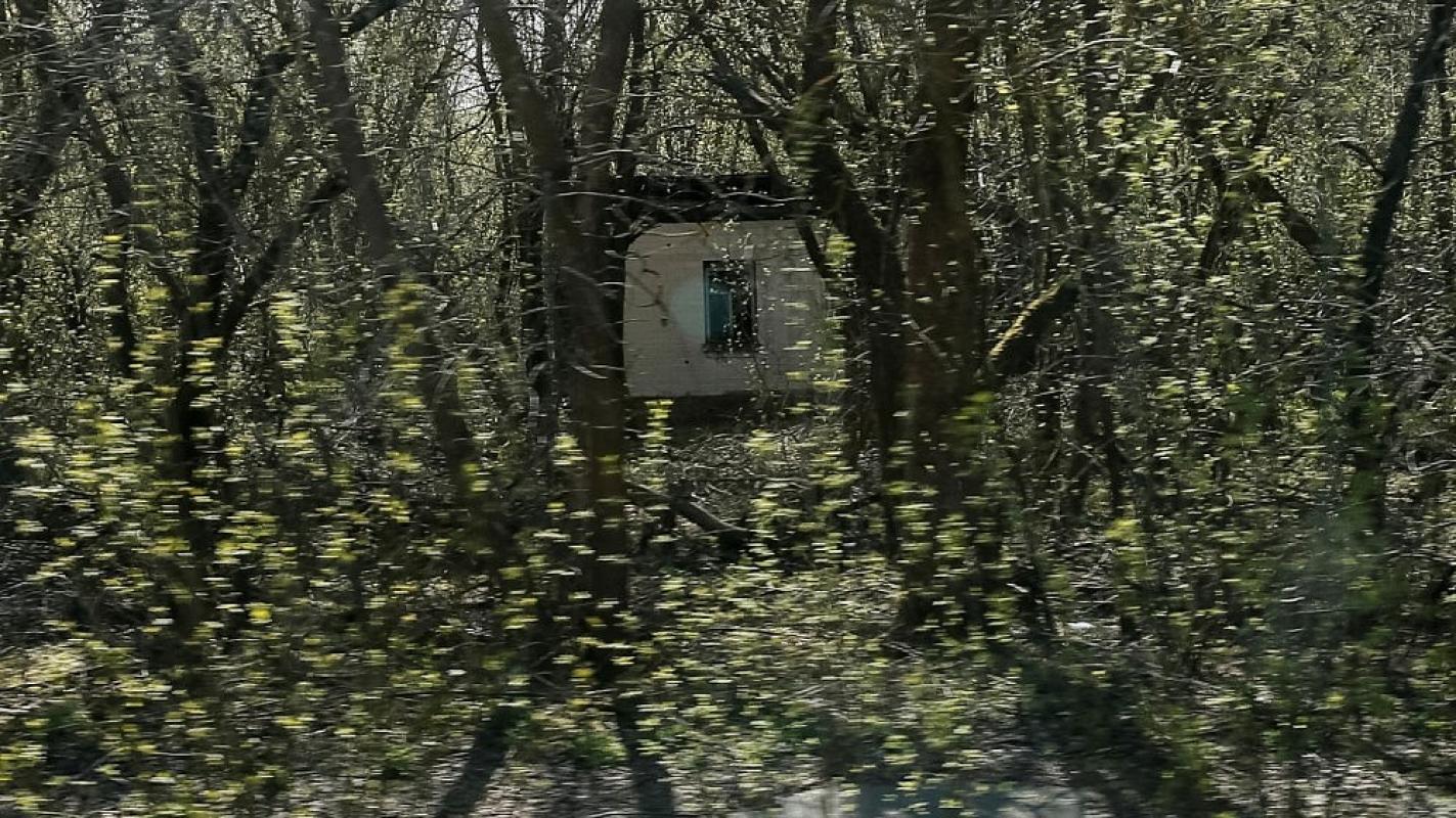 Radioaktyviame Černobylio miške siaučia liepsnos, Baltarusijoje užfiksuotas išaugęs radiacijos lygis