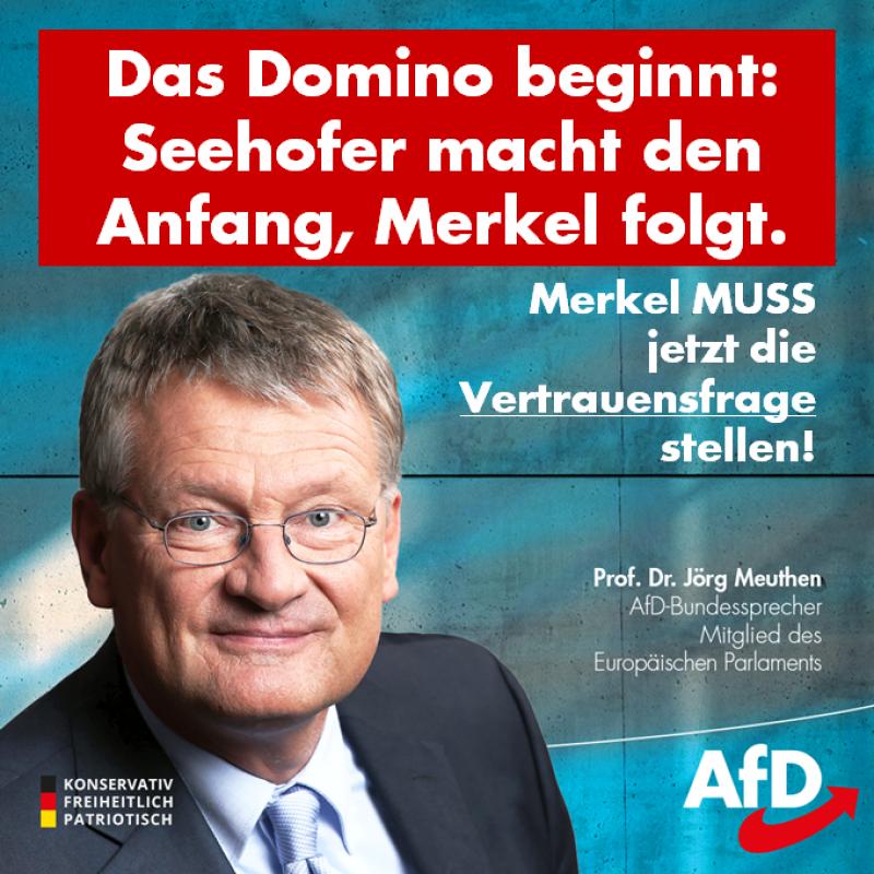 AfD pirmininkas Joerg Meuthen: domino prasideda, Merkel saulėlydis