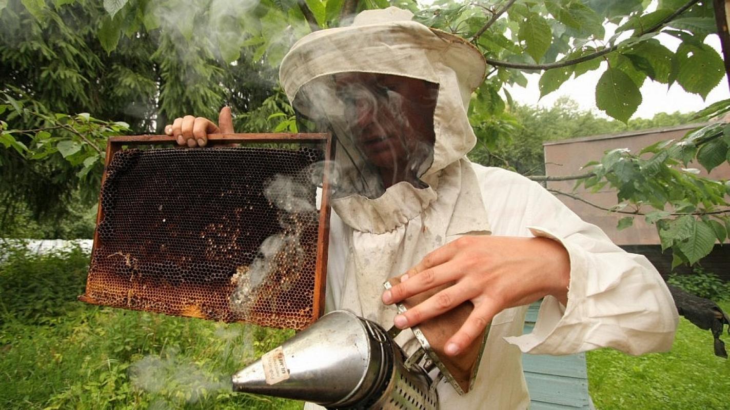 Pigesnis kiniškas medus ir medaus mišiniai stumia iš rinkos Lietuvos bitynų produkciją